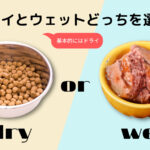 ドライタイプとウェットタイプどっちを選ぶ?基本的にはドライを